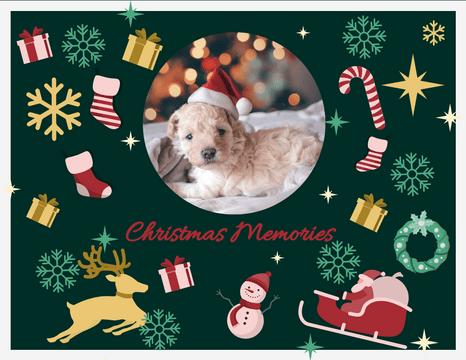 庆祝活动照相簿 模板。Christmas Memories Photo Book (由 Visual Paradigm Online 的庆祝活动照相簿软件制作)