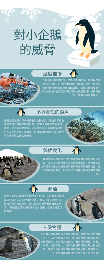 Editable infographics template:對企鵝的威脅信息圖