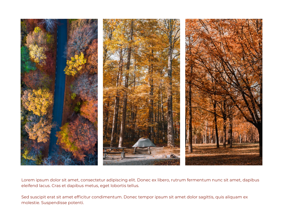 Seasonal Photo Book template: Recording Autumn Seasonal Photo Book (Created by Visual Paradigm Online's Seasonal Photo Book maker)