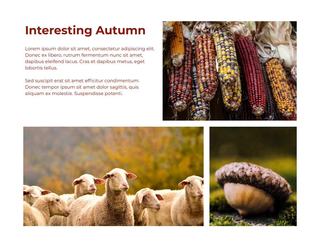 Recording Autumn Seasonal Photo Book