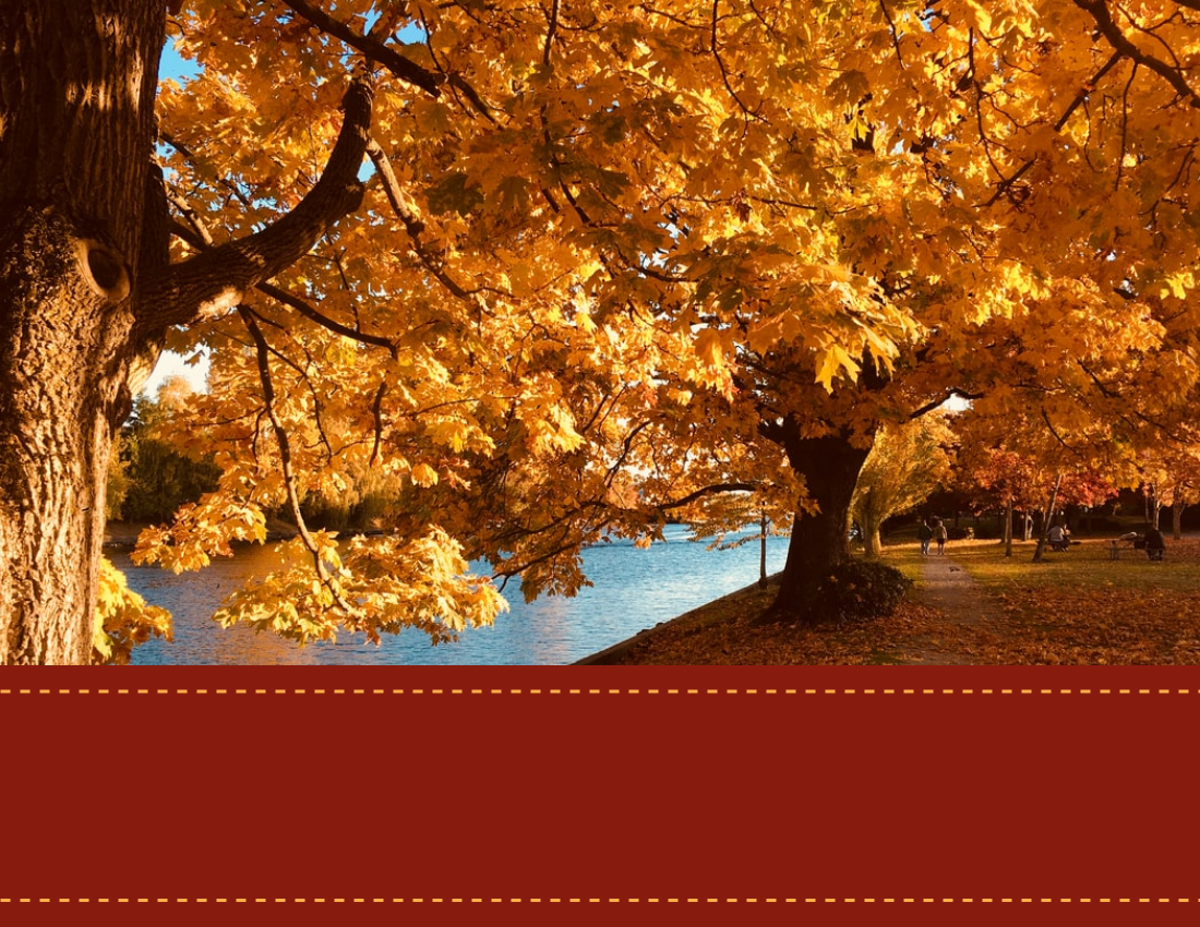 季節性照相簿 模板。 Recording Autumn Seasonal Photo Book (由 Visual Paradigm Online 的季節性照相簿軟件製作)