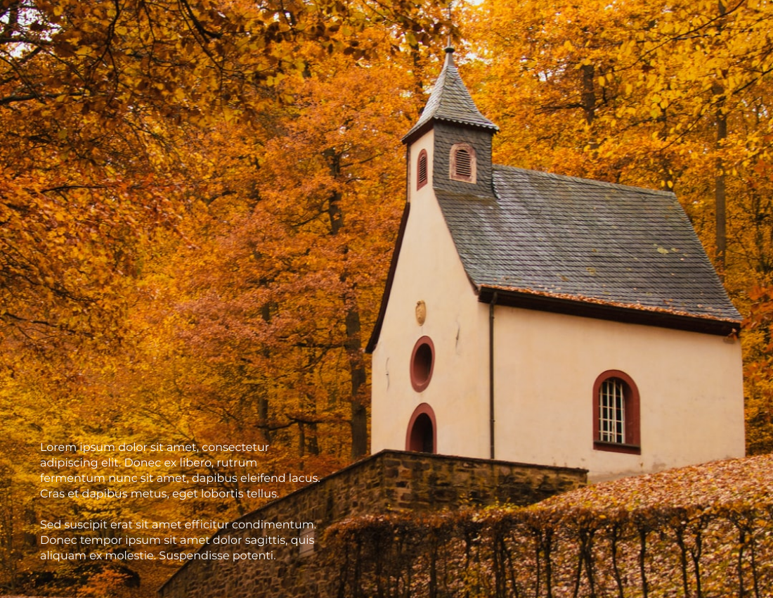 Seasonal Photo Book template: Recording Autumn Seasonal Photo Book (Created by PhotoBook's Seasonal Photo Book maker)