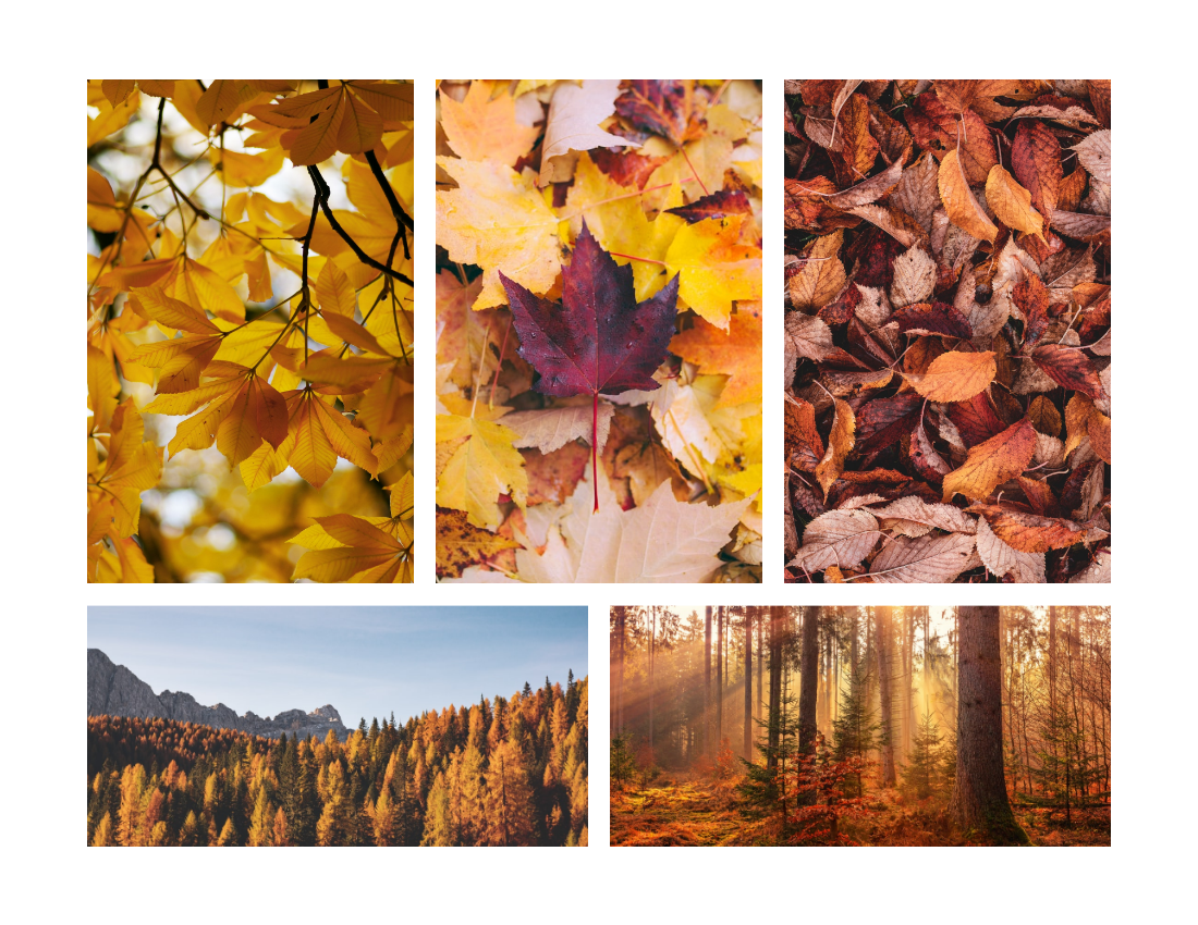 Recording Autumn Seasonal Photo Book