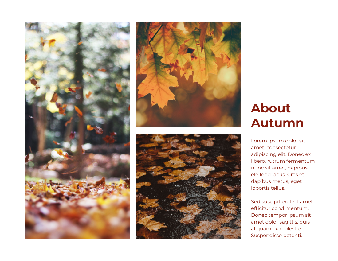季節性照相簿 模板。 Recording Autumn Seasonal Photo Book (由 Visual Paradigm Online 的季節性照相簿軟件製作)
