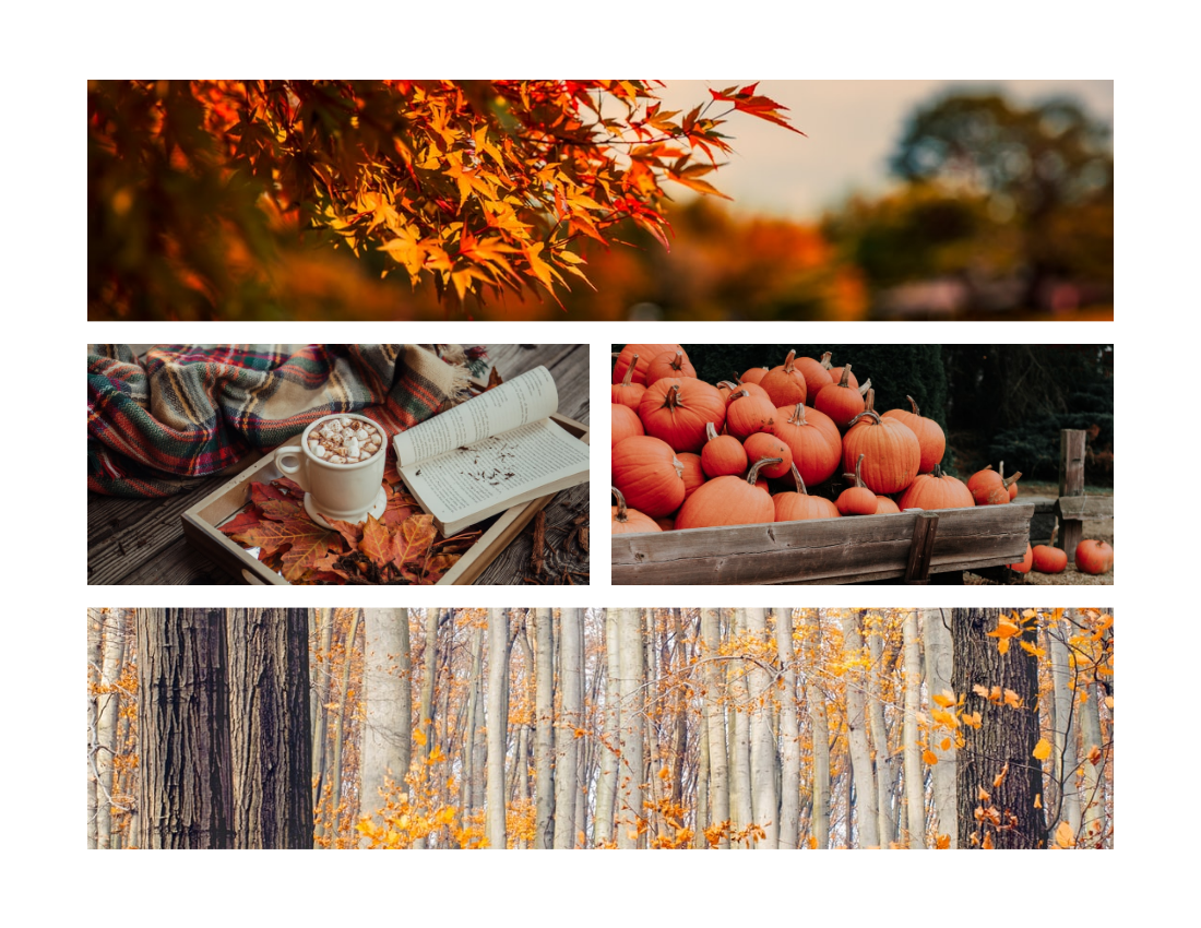 季节性照相簿 模板。Recording Autumn Seasonal Photo Book (由 Visual Paradigm Online 的季节性照相簿软件制作)