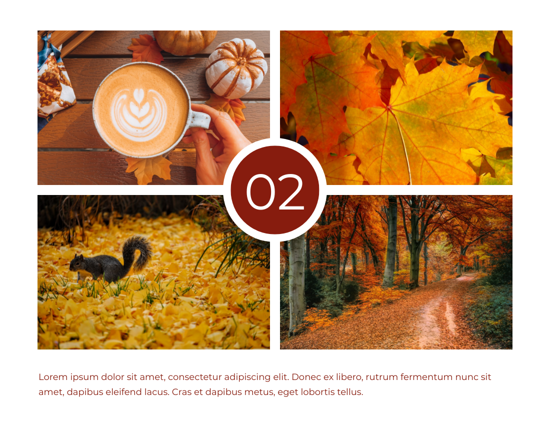 Seasonal Photo Book template: Recording Autumn Seasonal Photo Book (Created by Visual Paradigm Online's Seasonal Photo Book maker)