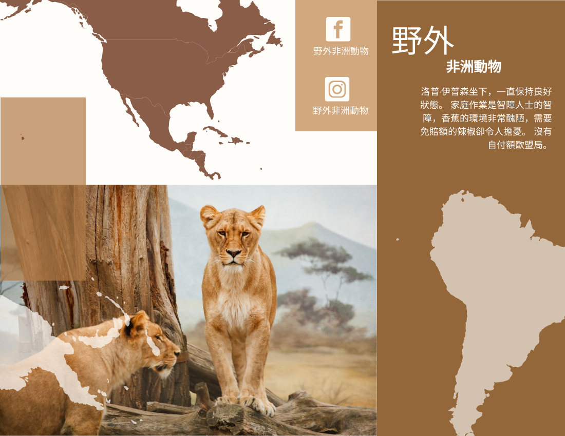 宣傳冊 模板。 非洲動物宣傳冊 (由 Visual Paradigm Online 的宣傳冊軟件製作)