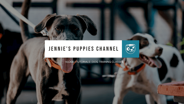 YouTube Channel Art template: Green And Red Puppy Photo Puppies Vlog YouTube Channel Art (Created by Visual Paradigm Online's YouTube Channel Art maker)