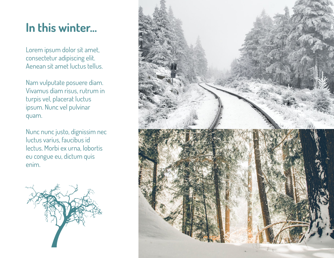 季节性照相簿 模板。Winter And Snow Seasonal Photo Book (由 Visual Paradigm Online 的季节性照相簿软件制作)