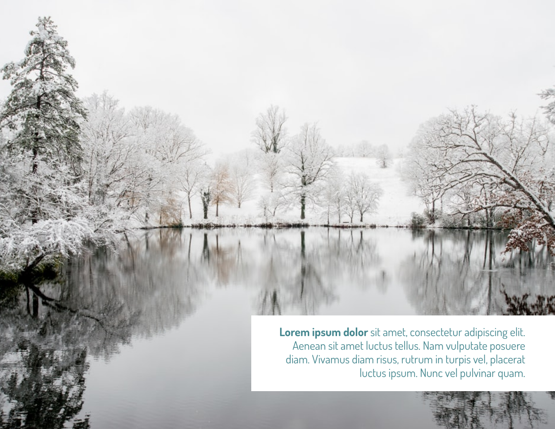 Seasonal Photo Book template: Winter And Snow Seasonal Photo Book (Created by PhotoBook's Seasonal Photo Book maker)