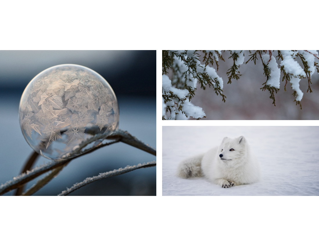 Winter And Snow Seasonal Photo Book