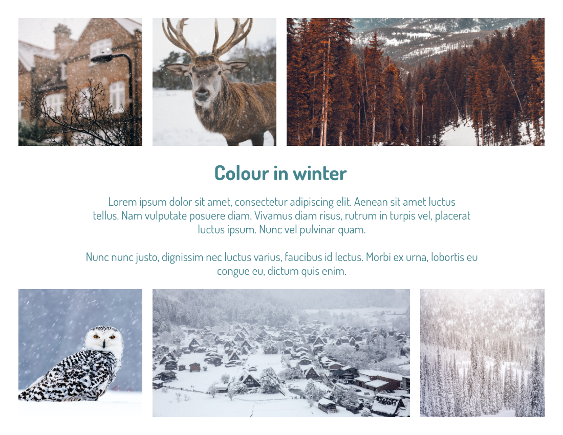 季節性照相簿 模板。 Winter And Snow Seasonal Photo Book (由 Visual Paradigm Online 的季節性照相簿軟件製作)