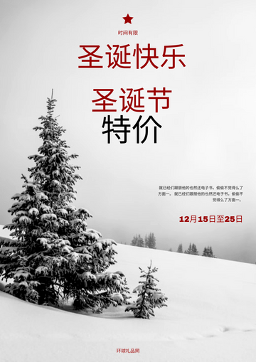 Editable posters template:雪圣诞节照片购物销售海报
