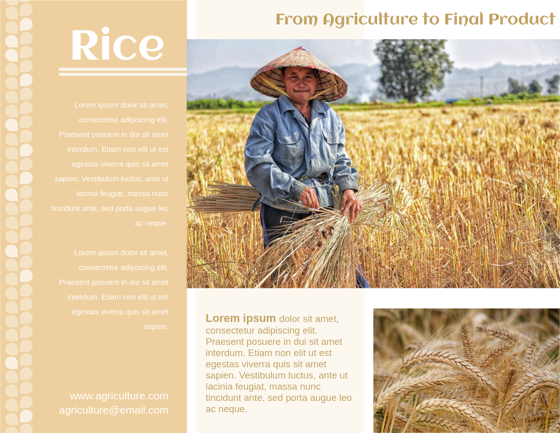 Brochure template: Planting Of Rice Brochure (Created by InfoART's Brochure maker)