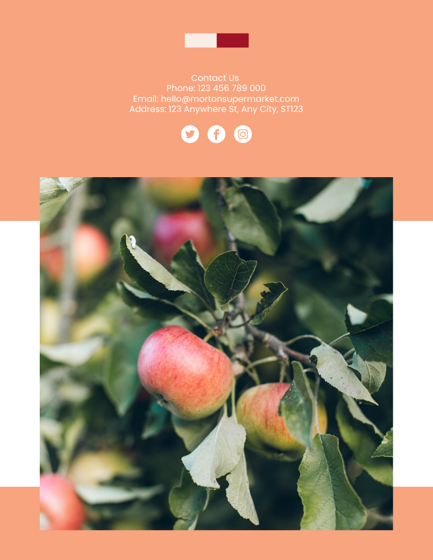 产品目录 模板。Fruits Catalog (由 Visual Paradigm Online 的产品目录软件制作)