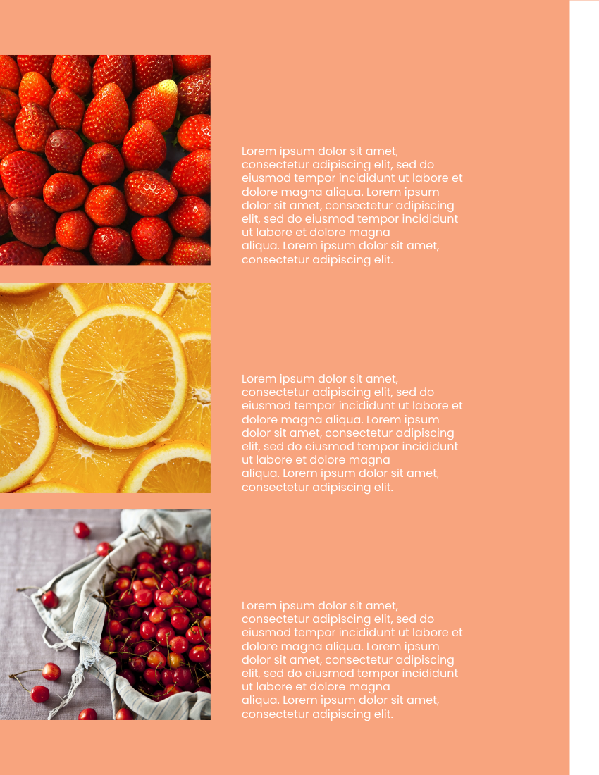 產品目錄 模板。 Fruits Catalog (由 Visual Paradigm Online 的產品目錄軟件製作)