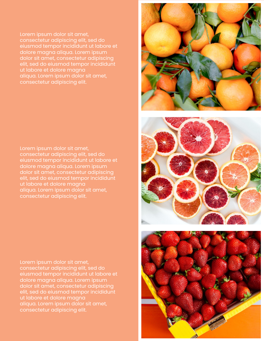 產品目錄 模板。 Fruits Catalog (由 Visual Paradigm Online 的產品目錄軟件製作)