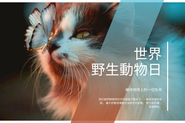 賀卡 模板。 藍貓照片世界野生動物日賀卡 (由 Visual Paradigm Online 的賀卡軟件製作)