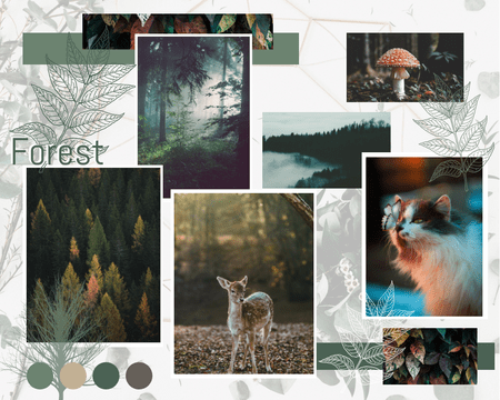 Mood Boards template: Forest Mood Board (Created by Visual Paradigm Online's Mood Boards maker)