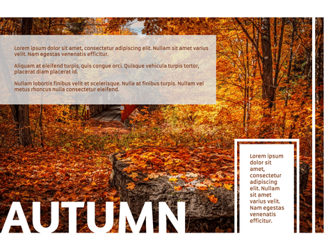 Brochure template: Autumn Tour Brochure (Created by Visual Paradigm Online's Brochure maker)