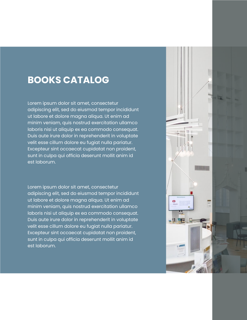 产品目录 模板。Library Book Catalog (由 Visual Paradigm Online 的产品目录软件制作)