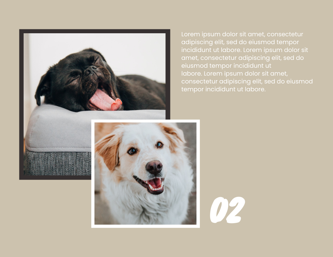 宠物照相簿 模板。2021 Pet Buddies Photo Book (由 Visual Paradigm Online 的宠物照相簿软件制作)