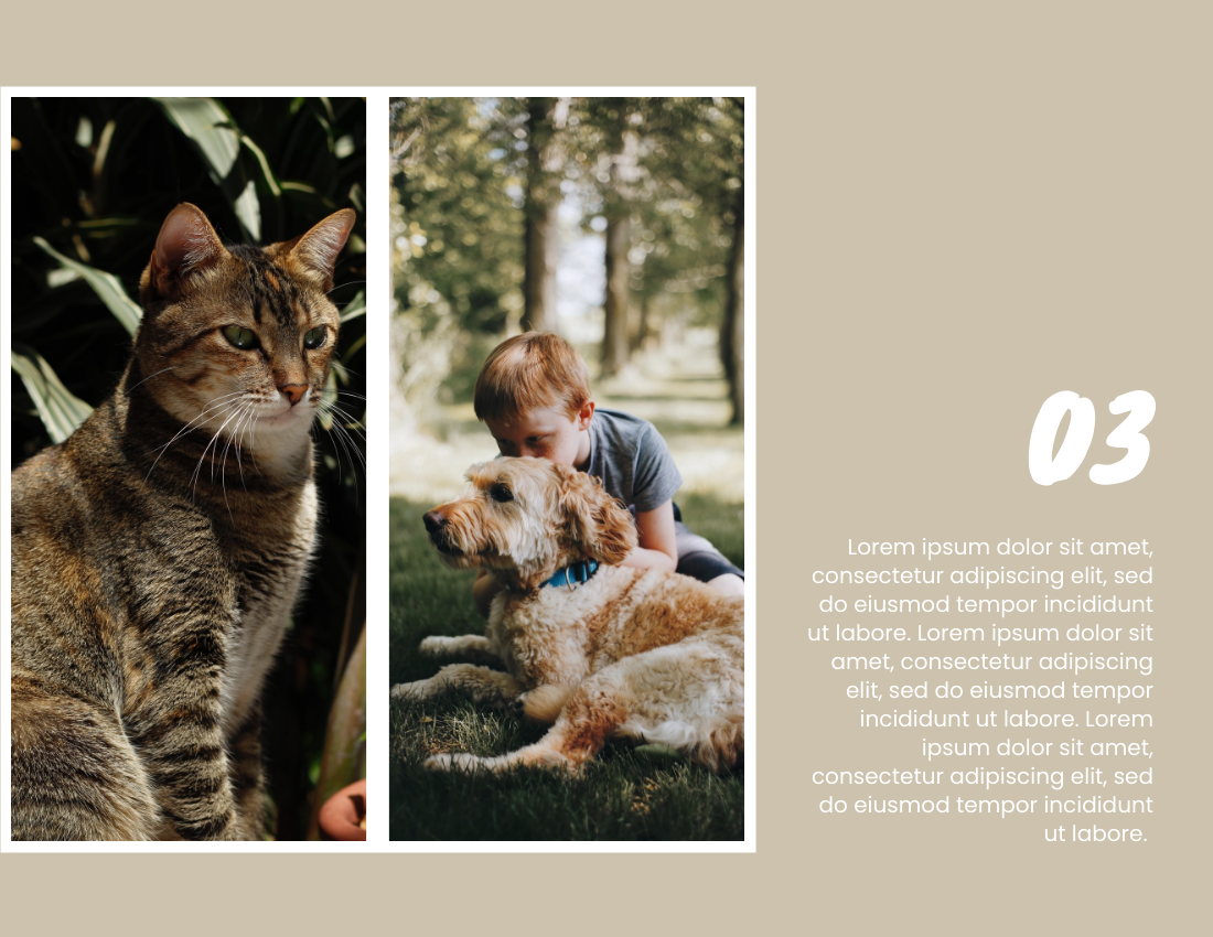 寵物照相簿 模板。 2021 Pet Buddies Photo Book (由 Visual Paradigm Online 的寵物照相簿軟件製作)