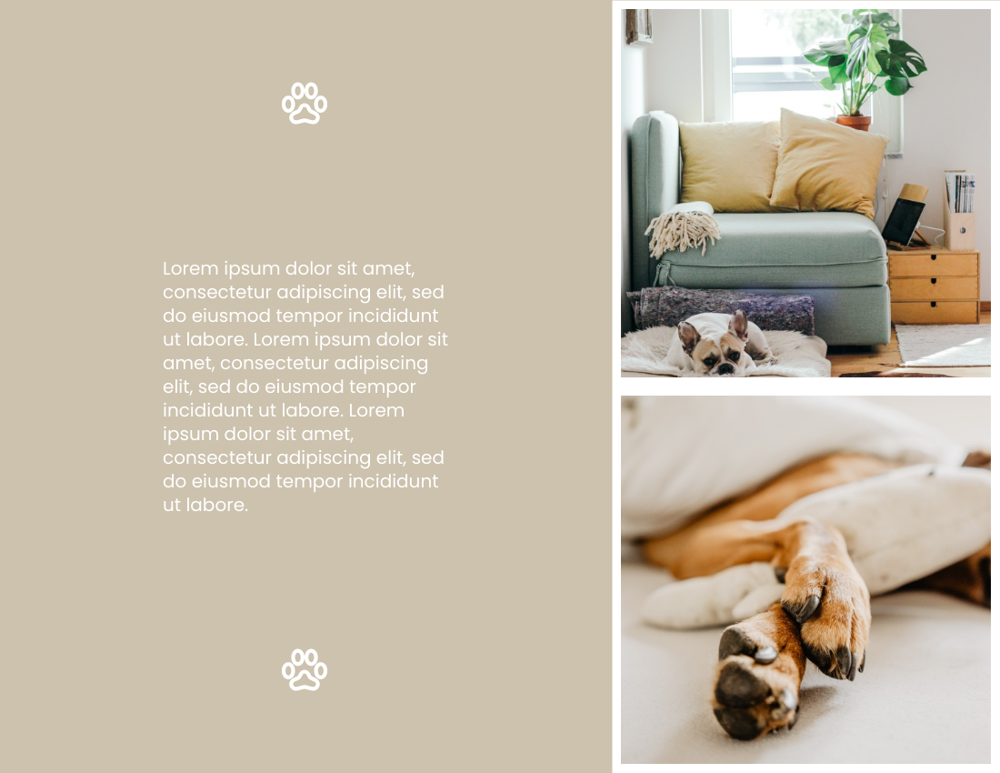寵物照相簿 模板。 2021 Pet Buddies Photo Book (由 Visual Paradigm Online 的寵物照相簿軟件製作)