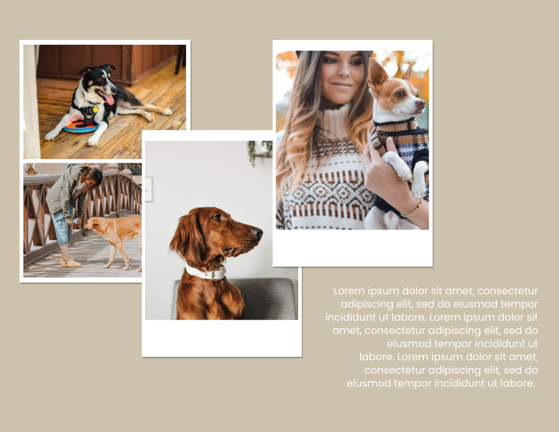 Pet Photo book template: 2021 Pet Buddies Photo Book (Created by Visual Paradigm Online's Pet Photo book maker)