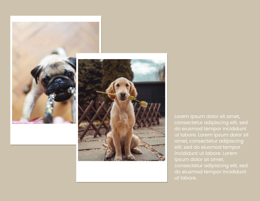 Pet Photo book template: 2021 Pet Buddies Photo Book (Created by PhotoBook's Pet Photo book maker)
