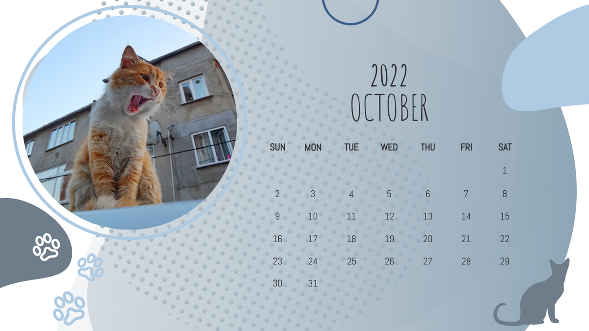 Calendar 模板。Pet Photo Calendar (由 Visual Paradigm Online 的Calendar软件制作)