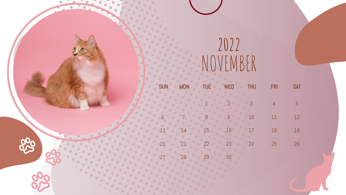 Calendar 模板。Pet Photo Calendar (由 Visual Paradigm Online 的Calendar软件制作)