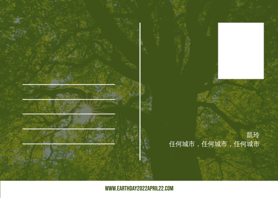 深綠色森林照片地球日明信片