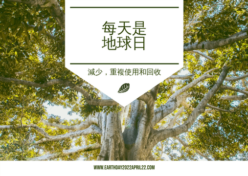 Editable postcards template:深綠色森林照片地球日明信片