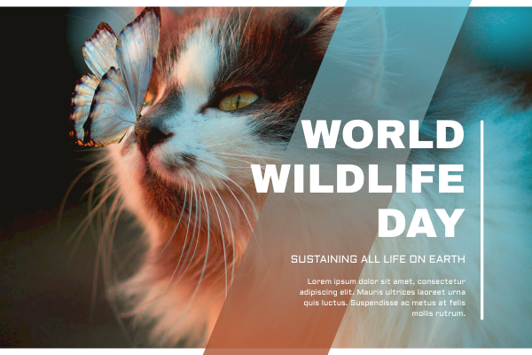 Greeting Card template: Blue Cat Photo World Wildlife Day Greeting Card (Created by Visual Paradigm Online's Greeting Card maker)
