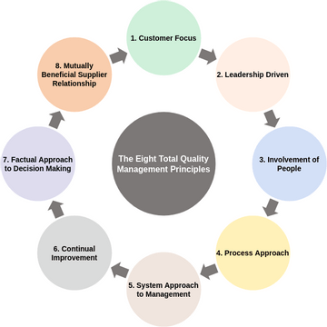 Block Diagram template: The Eight Total Quality Management Principles (Created by Visual Paradigm Online's Block Diagram maker)