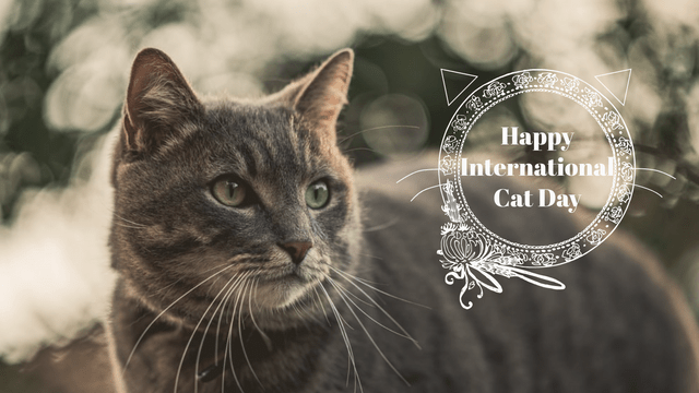 Twitter Post template: International Cat Day Twitter Post (Created by InfoART's  marker)