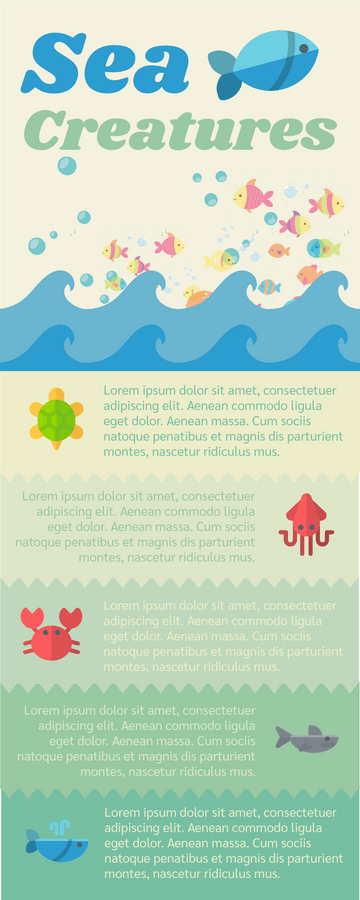 Introduction Of Sea Creatures Infographic