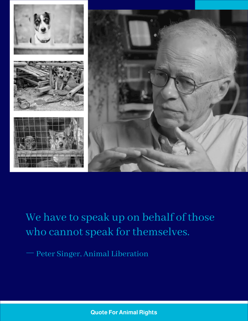 Quote 模板。 We have to speak up on behalf of those who cannot speak for themselves. ― Peter Singer, Animal Liberation (由 Visual Paradigm Online 的Quote軟件製作)