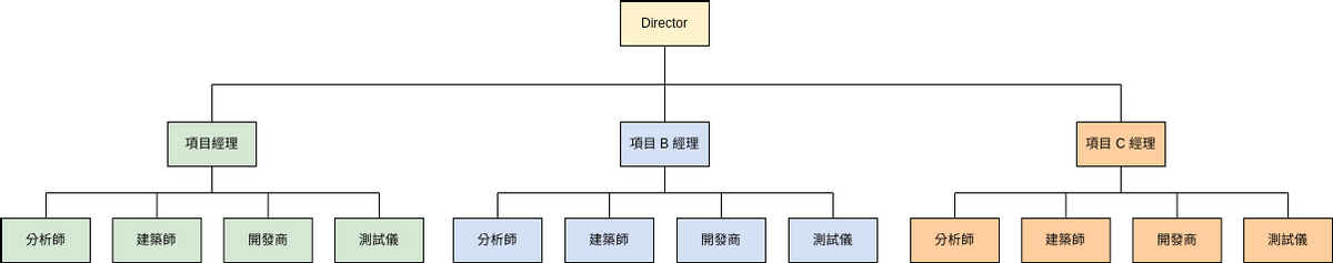 基於項目的組織模板 (組織結構圖 Example)