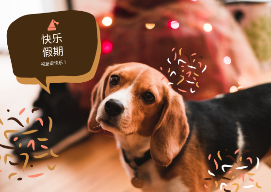 明信片 模板。棕色的狗圣诞节明信片 (由 Visual Paradigm Online 的明信片软件制作)
