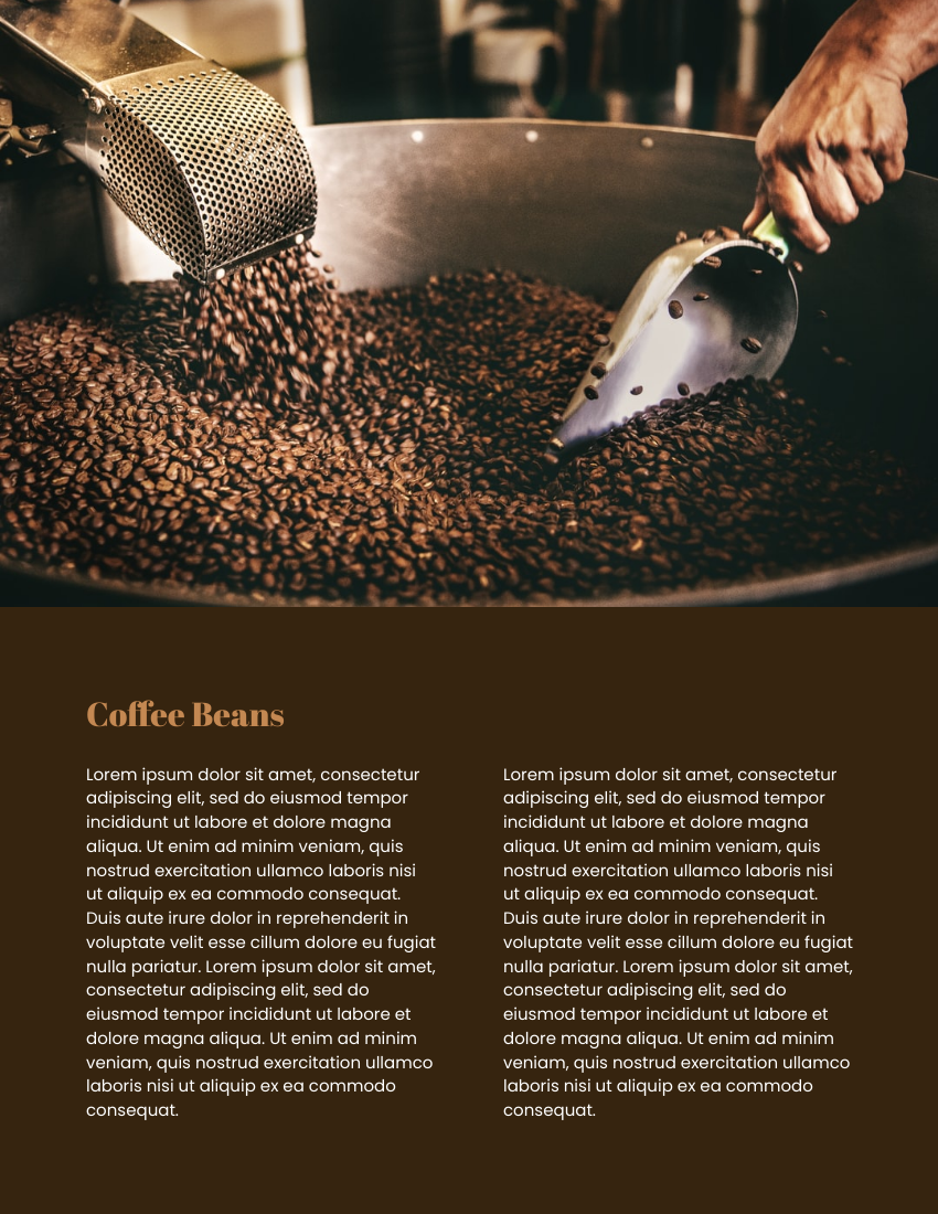 产品目录 模板。Coffee Catalog (由 Visual Paradigm Online 的产品目录软件制作)