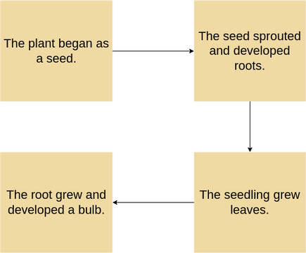 Plant Growth Example