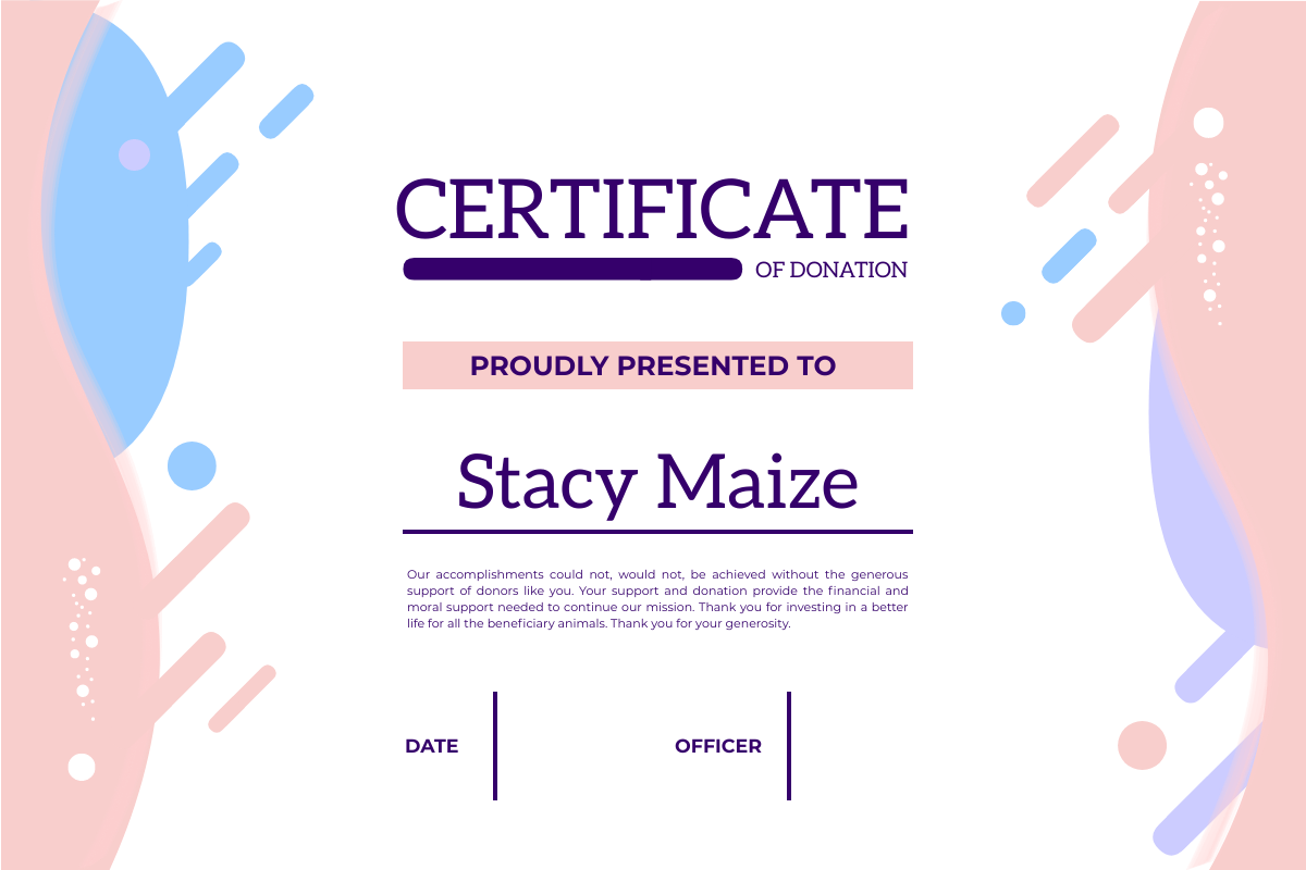 Certificate template: Pastel Donation Certificate (Created by InfoART's Certificate maker)