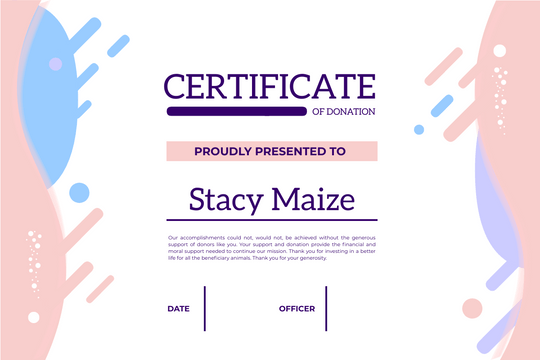 Certificate template: Pastel Donation Certificate (Created by Visual Paradigm Online's Certificate maker)