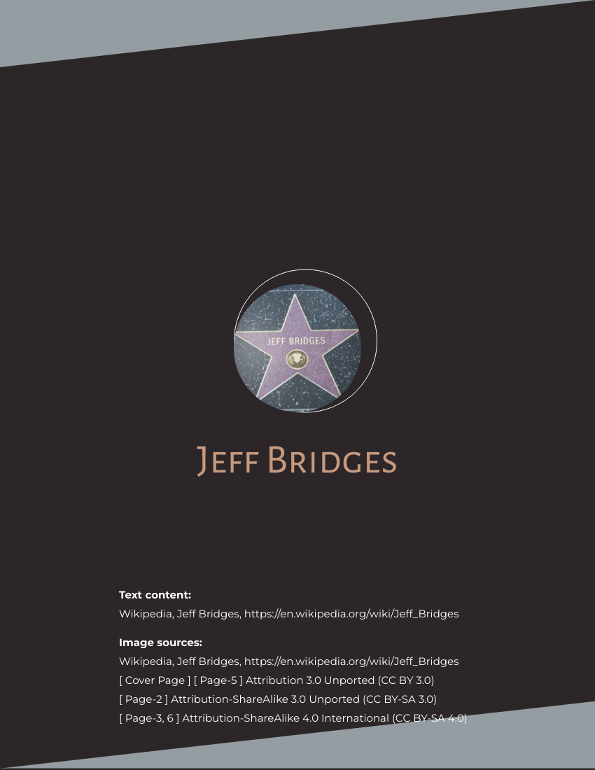 Biography template: Jeff Bridges Biography (Created by Visual Paradigm Online's Biography maker)