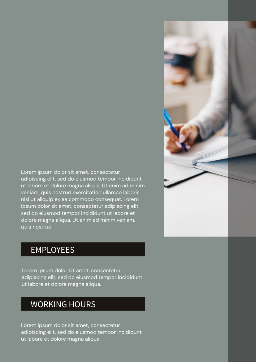 Employee Handbook template: Professional Employee Handbook (Created by Visual Paradigm Online's Employee Handbook maker)