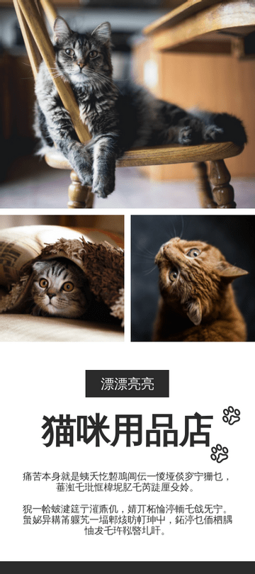Editable rackcards template:宠物用品店开架文宣