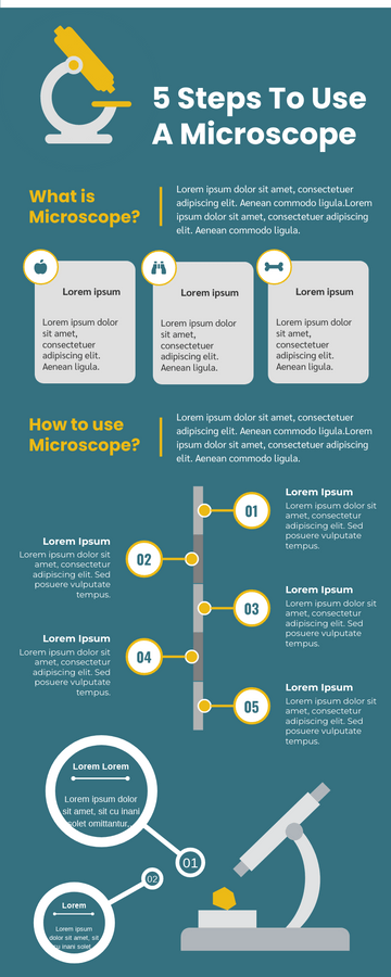 Infographic template: 5 Steps To Use A Microscope Infographic (Created by Visual Paradigm Online's Infographic maker)