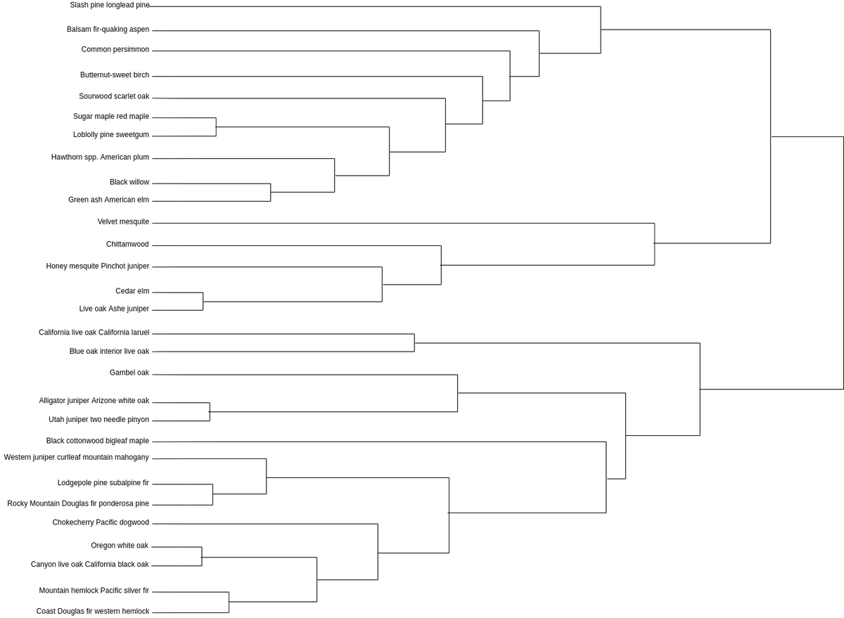 Clustering of Tree Species Dendrogram